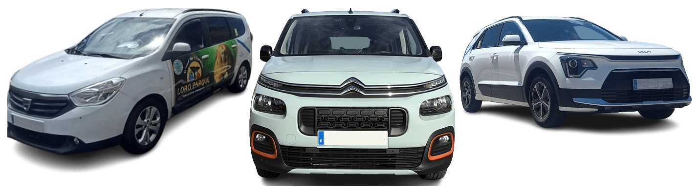 taxi-express-tenerife-flota-sp
